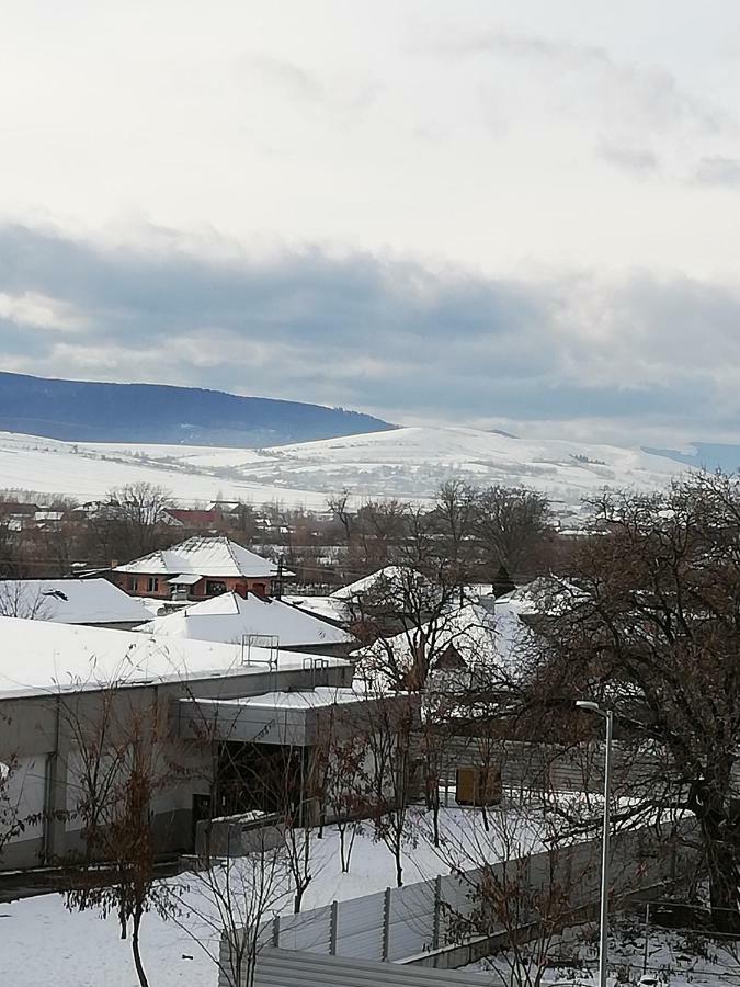 Pensiunea La Safari Târgu Neamț Buitenkant foto